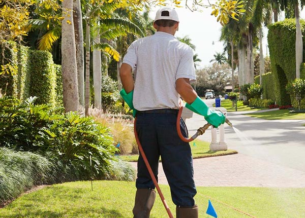 About Elm Mott TX Pest Control Pros